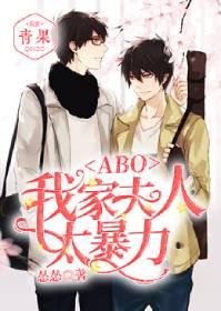 我家夫人太暴力免费阅读