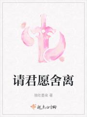 愿请君之衣