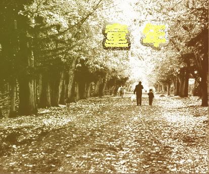 童年趣味作文500字免费