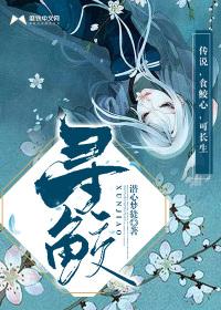 寻鲛主要讲了什么