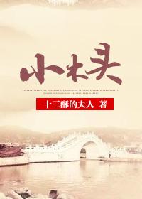 小木头奇遇记的作者是什么