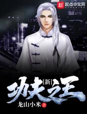 新功夫之王txt精校版