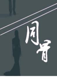 同骨异构体案件