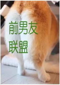 前男友联盟(np)双木林