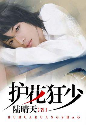 护花狂少萧铁柱