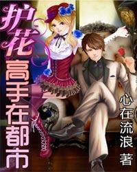 护花高手在都市原版在线阅读