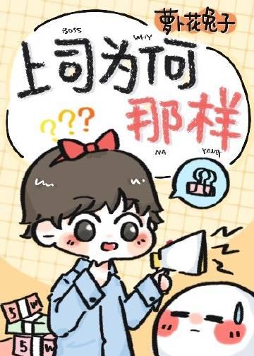 上司为何那样全本阅读