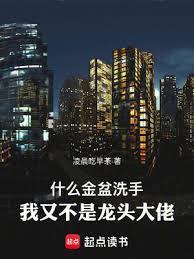 我又不是龙头大佬第三中文网