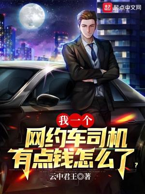 开网约车能赚多少钱一个月