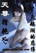 天尊猎艳记在线阅读
