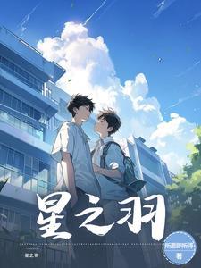 星之羽翼是什么宝贝