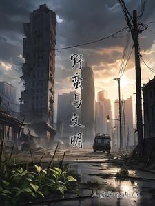 野蛮的文明pdf电子版