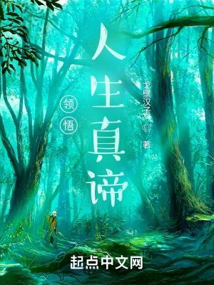 领悟人生真谛的核心