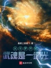 从斗罗开始武魂是一道光免费阅读