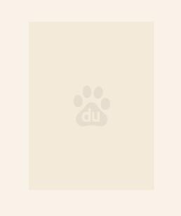 绝世炼丹师全文免费