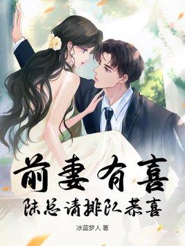 前妻有喜总裁请淡定免费阅读书包网