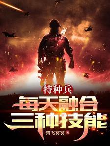 融合特种兵系统