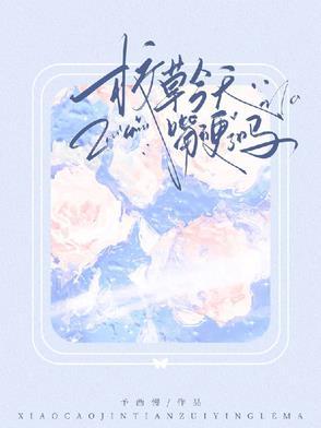 校草今天表白了么