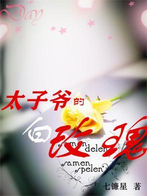 太子爷的白玫瑰全文阅读