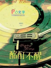 酩酊不醒免费阅读全文