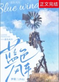 蓝色风车番外TXT