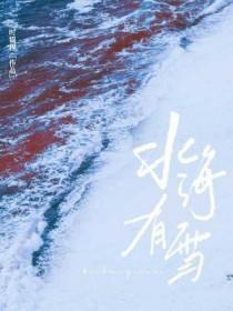 北海市下雪