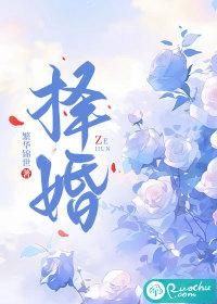 择婚记