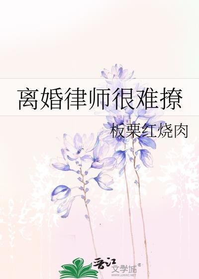 离婚律师事务所律师