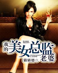 我的美女总裁老婆的介绍