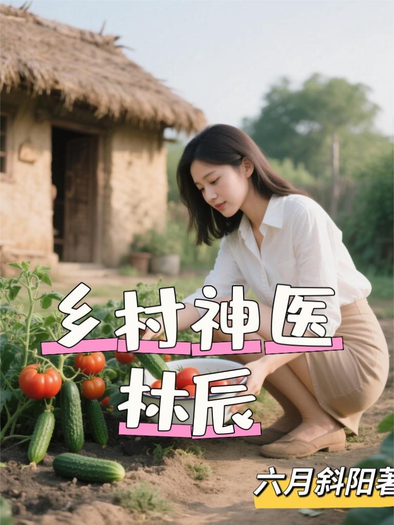 乡野小神医林辰