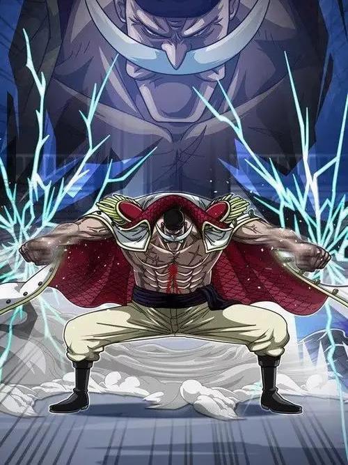 海贼之怪物赏金猎人免费观看