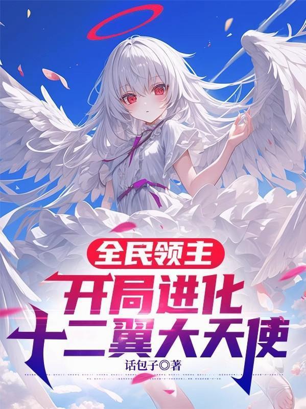 开局进化十二翼大天使