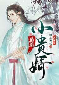 逍遥小贵婿动漫全集播放