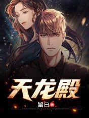 天龙殿主陈平在线视频观看