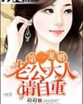 第一婚宠老公大人请自重全文
