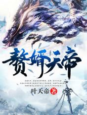 赘婿天帝 大梦万古