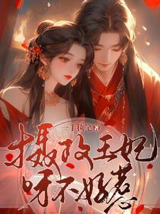 摄政王妃不好惹1-100集