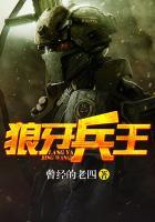 狼牙兵王叶谦全集