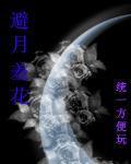 闭月羞花什么属性