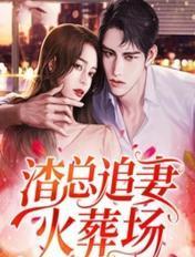 渣总追妻火葬场短剧免费观看