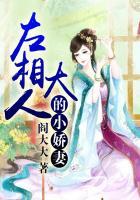 我的左相大人阅读