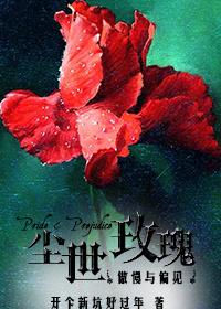 傲慢与偏见英格兰玫瑰