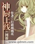 神厨第22集