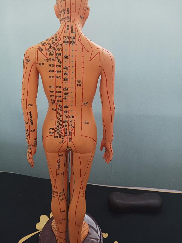 中医天下全文免费