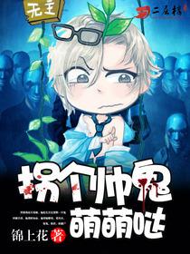 拐个帅哥回现代电视剧